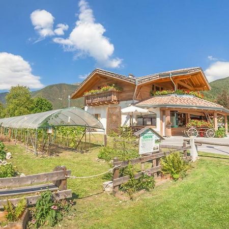 B&B Dalla Fattoria Della Patty Pieve Di Ledro Kültér fotó